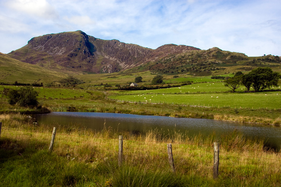 Cader Idris Fferm Cedris Farm Campsite